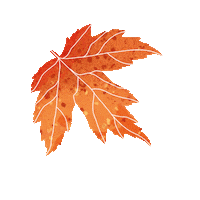 Sparkling_peanuts halloween fall orange canada Sticker