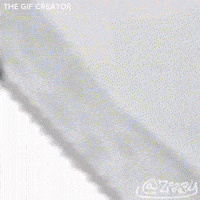 Toast Unique Gif GIF