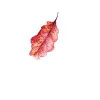 Halloween Falling Sticker by Very Wonder