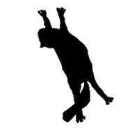 Jump Around Cat Sticker by FRUGIT
