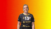 Sv Dynamo GIF by Draisma Dynamo