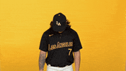 Cal State La Sport GIF by Cal State LA Golden Eagles