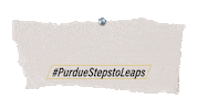 Black And Gold Life Sticker by Purdue University
