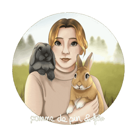 Bunny Lapin Sticker