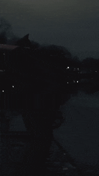 simonschares batman dark real scooter GIF
