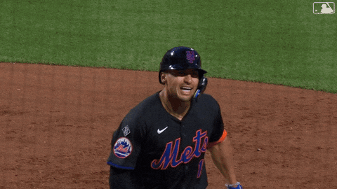 Celebration Baseball GIF by New York Mets