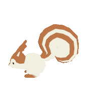 Squirrel 動物 Sticker