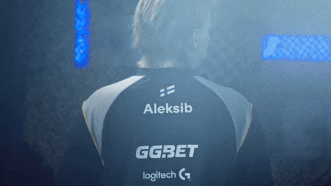 Im Cs2 GIF by BLAST