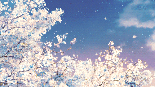 Sakura GIF