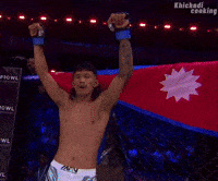 Mma GIF