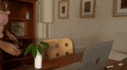 Work From Home GIF by WGBH Boston