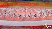 Paralympic Games GIF by International Paralympic Committee