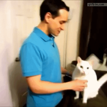 kitty hugs GIF