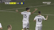South Carolina Soccer GIF by Charleston Battery