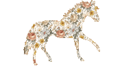 Horse Cowgirl Sticker by Saddle and Sage