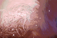 Art Rotate GIF