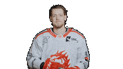Michal Trinec Sticker by HC Oceláři Třinec
