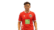 Hannover 96 Fifa Sticker by H96eSports