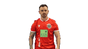 Hannover 96 Fifa Sticker by H96eSports