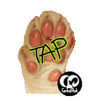 Tap Click Sticker by HcpSafari