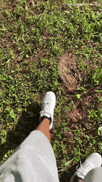 Good Day Butterfly GIF by Queen Nandi