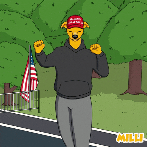 Shiba Inu Doge GIF by MILLI