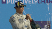 World Champion Berlin GIF by ABB Formula E