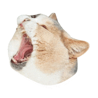 Sleepy Cat Sticker