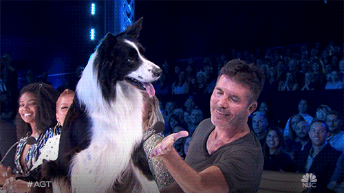 Hollywood Live Shows GIF by America's Got Talent
