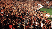 wswanderersfc reaction football celebration wanderers GIF