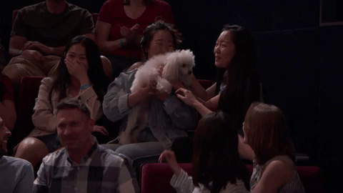dog GIF by Team Coco
