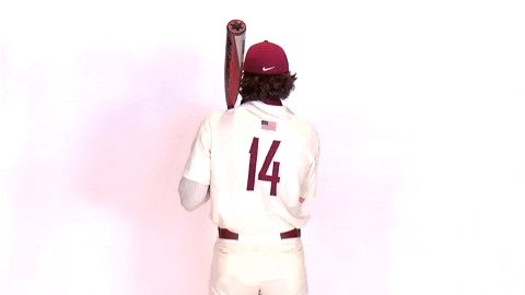 Baseball Roll Pards GIF by Lafayette Leopards