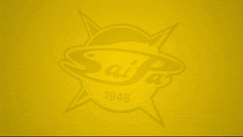 Saipa 20-21 GIF by WhiteWhale