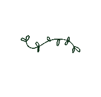 johannablaha flower green plant plants Sticker