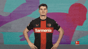 Celebrating Bayer Leverkusen GIF by Bundesliga