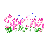 Spring Sol Sticker