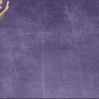 Kdub GIF by KWC Panthers