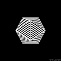black and white loop GIF by Pi-Slices