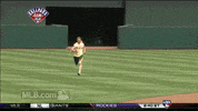 oak GIF by MLB