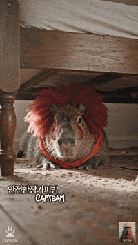 Lonely Under Bed GIF