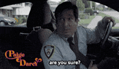 Are You Sure Nancy Drew GIF by HighballTV.com