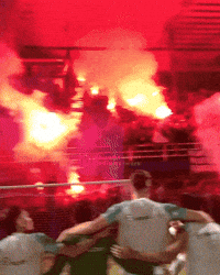 Pipa Persib GIF
