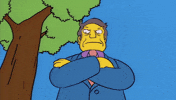 Disappointed The Simpsons GIF