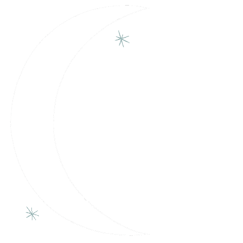 Night Moon Sticker