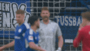 Come On Football GIF by FC Schalke 04