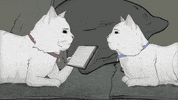 season 1 cats GIF by Animals
