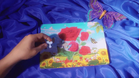 video art GIF by Zita Nagy