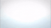 bluekagency bluek bluekyachting bluekagency GIF