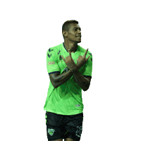 Sticker by Avante Sports