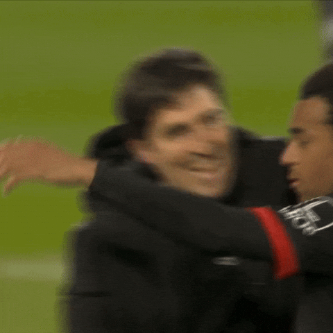 Premier League Win GIF by AFC Bournemouth